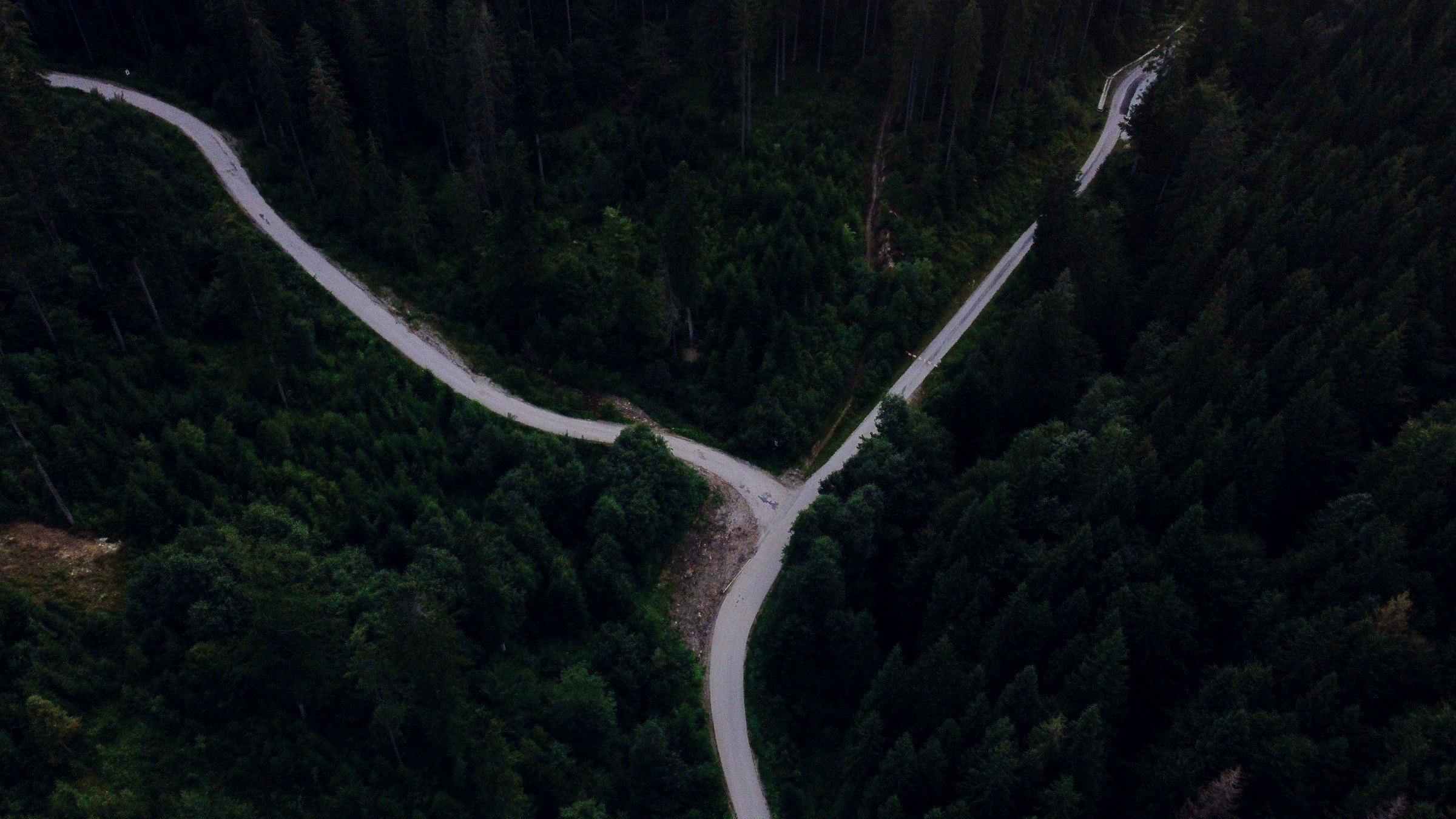 Road forking through a forest, seen from the air
